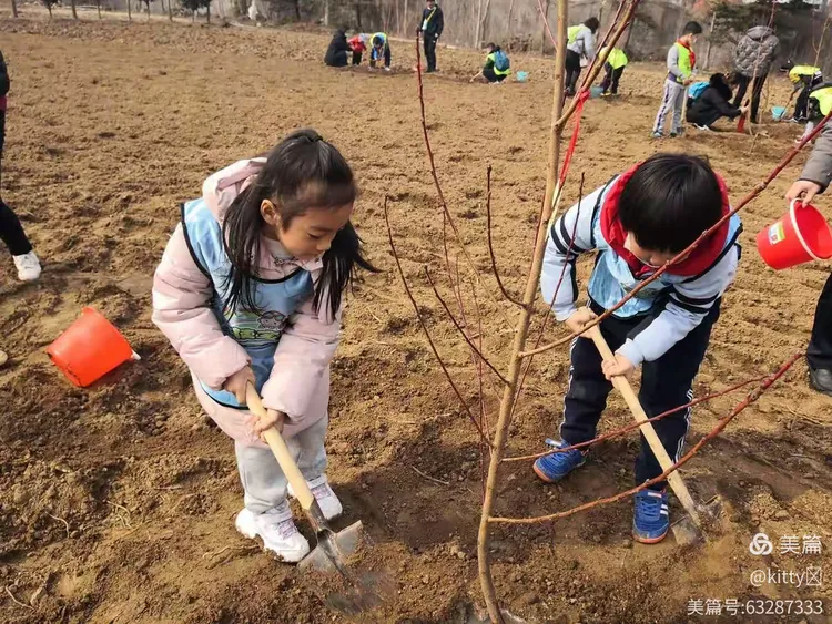 拥抱春天,播种希望